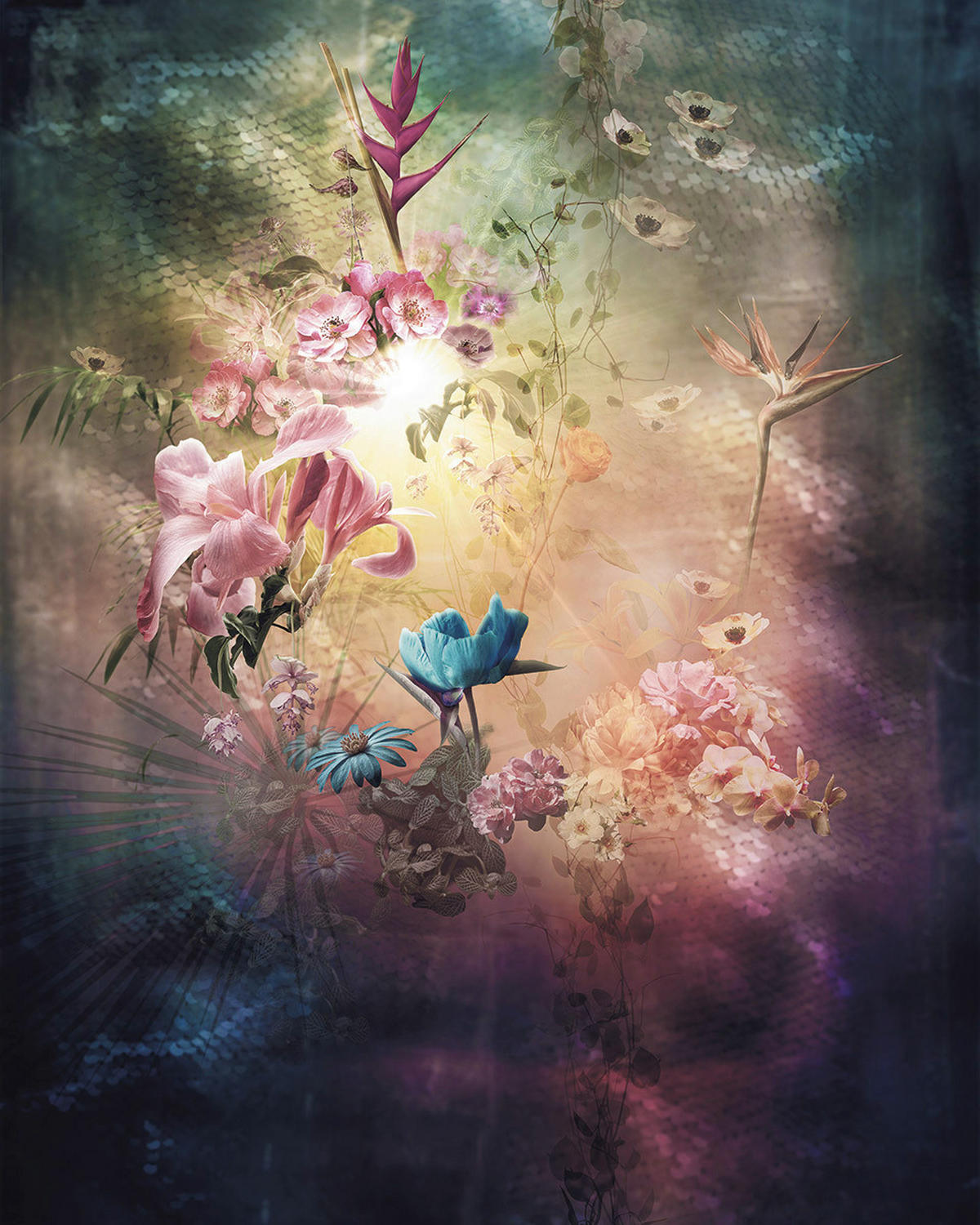 Komar Fototapete Enlightenment B/L: ca. 200x250 cm Enlightenment - (200,00/250,00cm) - Komar