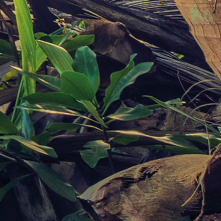 Komar Fototapete Piratenversteck B/L: ca. 450x280 cm Piratenversteck - (450,00/280,00cm) - Komar