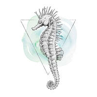 Komar Poster Sea Horse Watercolor Tiere B/L: ca. 40x50 cm Sea Horse Watercolor - (40,00/50,00cm) - Komar