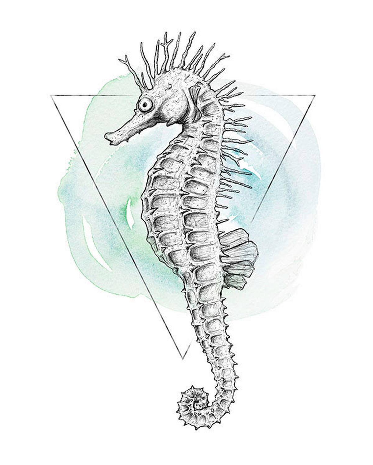 Komar Poster Sea Horse Watercolor Tiere B/L: ca. 40x50 cm Sea Horse Watercolor - (40,00/50,00cm) - Komar