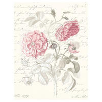 Komar Poster Poème Rose Rosen B/L: ca. 30x40 cm Poème Rose - (30,00/40,00cm) - Komar