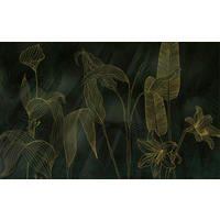 Komar Fototapete Darkest Green B/L: ca. 400x250 cm Darkest Green - (400,00/250,00cm) - Komar