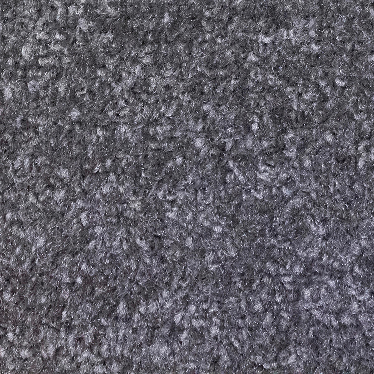Schmutzfangmatte Alpha anthrazit B/L: ca. 40x60 cm Alpha - anthrazit (40,00/60,00cm)