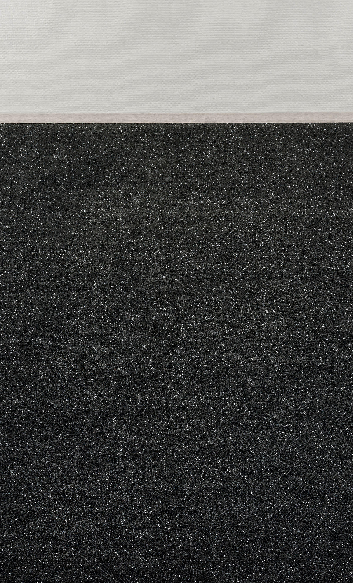 Teppichboden Harrow Flash schwarz B: ca. 400 cm pro m² Harrow Flash - schwarz (400,00cm)