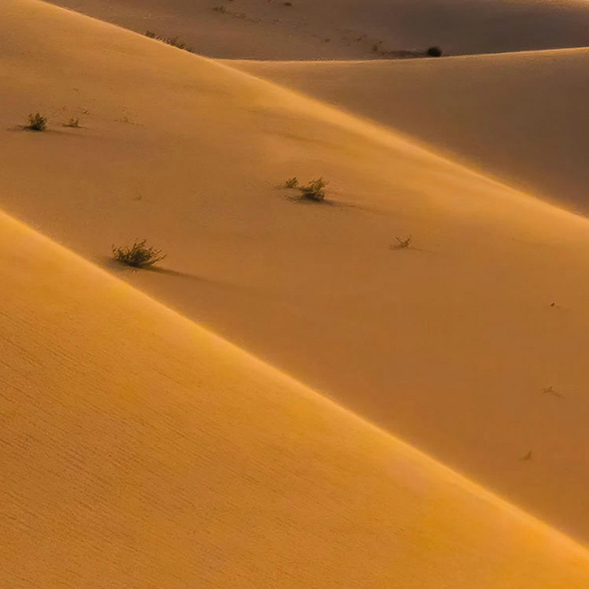 Komar Fototapete Wüstenmagie B/L: ca. 200x280 cm Wüstenmagie - (200,00/280,00cm) - Komar