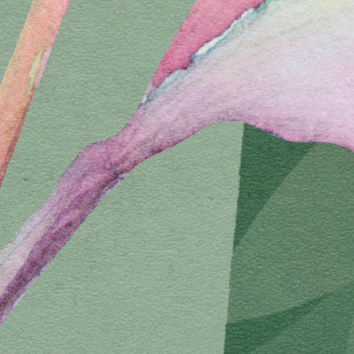 Komar Fototapete The Flower Duet B/L: ca. 400x250 cm The Flower Duet - (400,00/250,00cm) - Komar