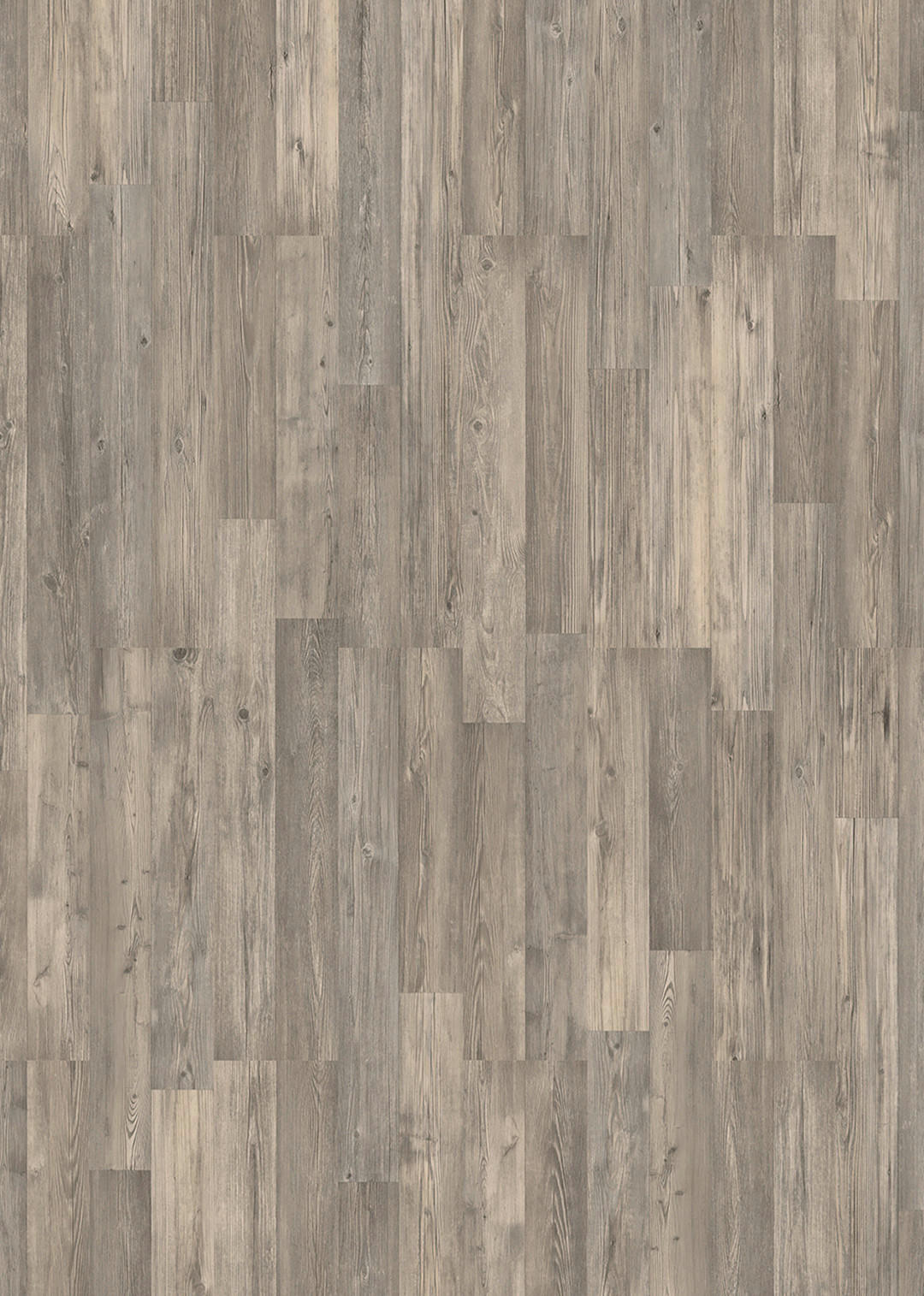 Musterstück grau B/L/S: ca. 19,4x30x0,7 cm Muster Laminat Pine gray - grau (19,40/30,00cm)