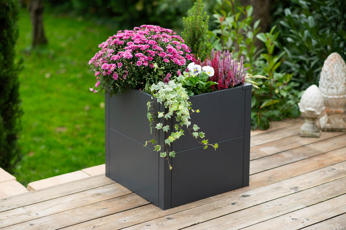 Westmann Pflanzkasten Talus anthrazit Metall B/H/L: ca. 50x50x50 cm Talus - anthrazit (50,00/50,00/50,00cm) - Westmann