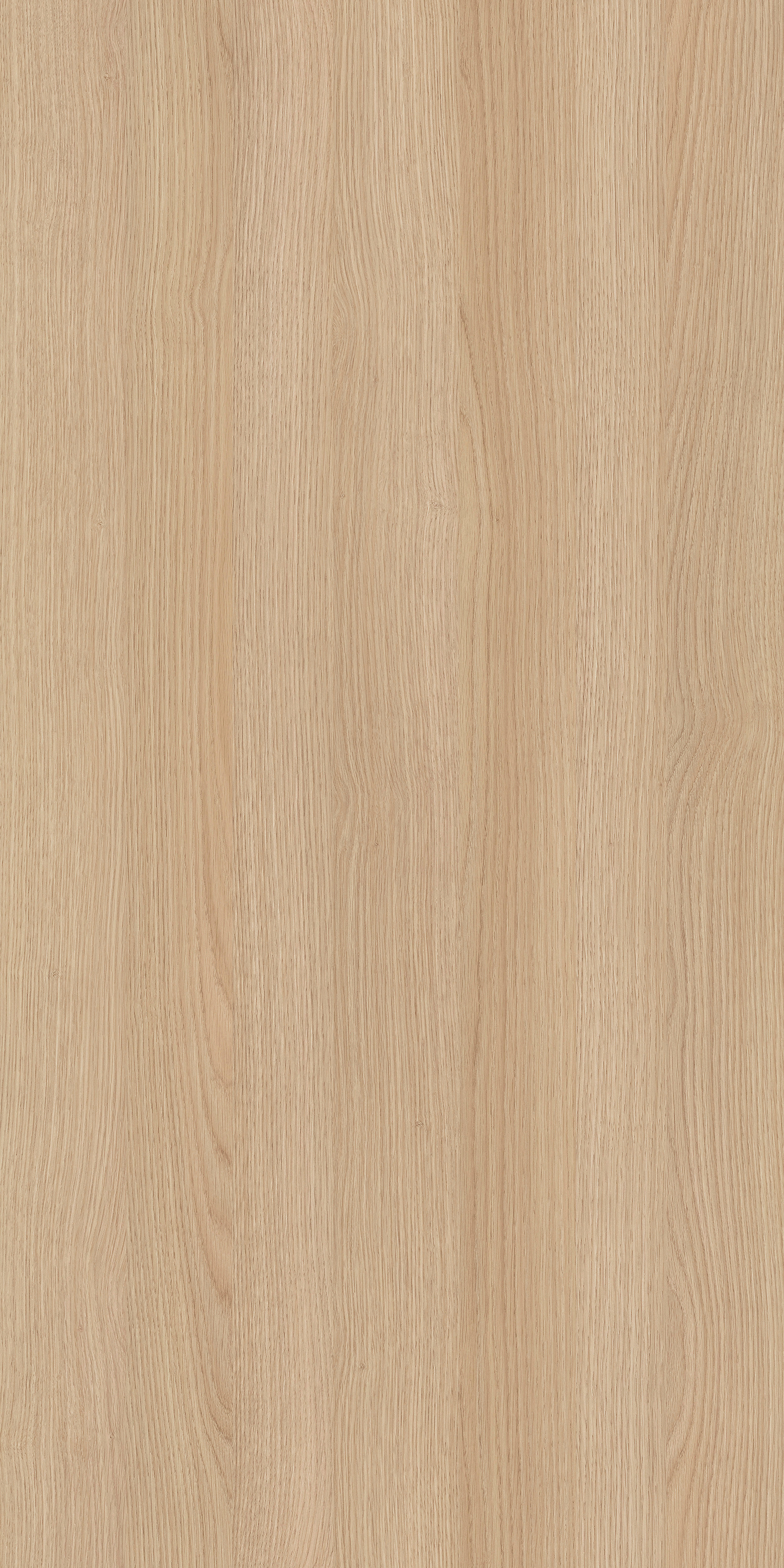 Highboard BASTIAN Eiche weiß B/H/T: ca. 120x131x36,5 cm BASTIAN - Eiche/weiß (120,00/131,00/36,50cm) - byLIVING