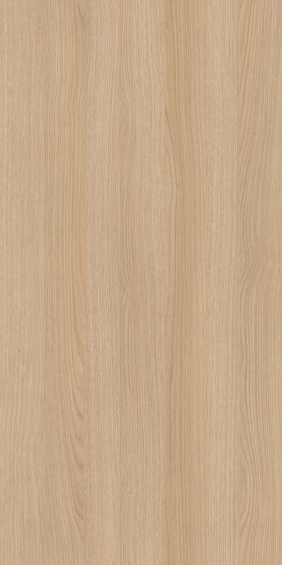 Highboard BASTIAN Eiche weiß B/H/T: ca. 120x131x36,5 cm BASTIAN - Eiche/weiß (120,00/131,00/36,50cm) - byLIVING