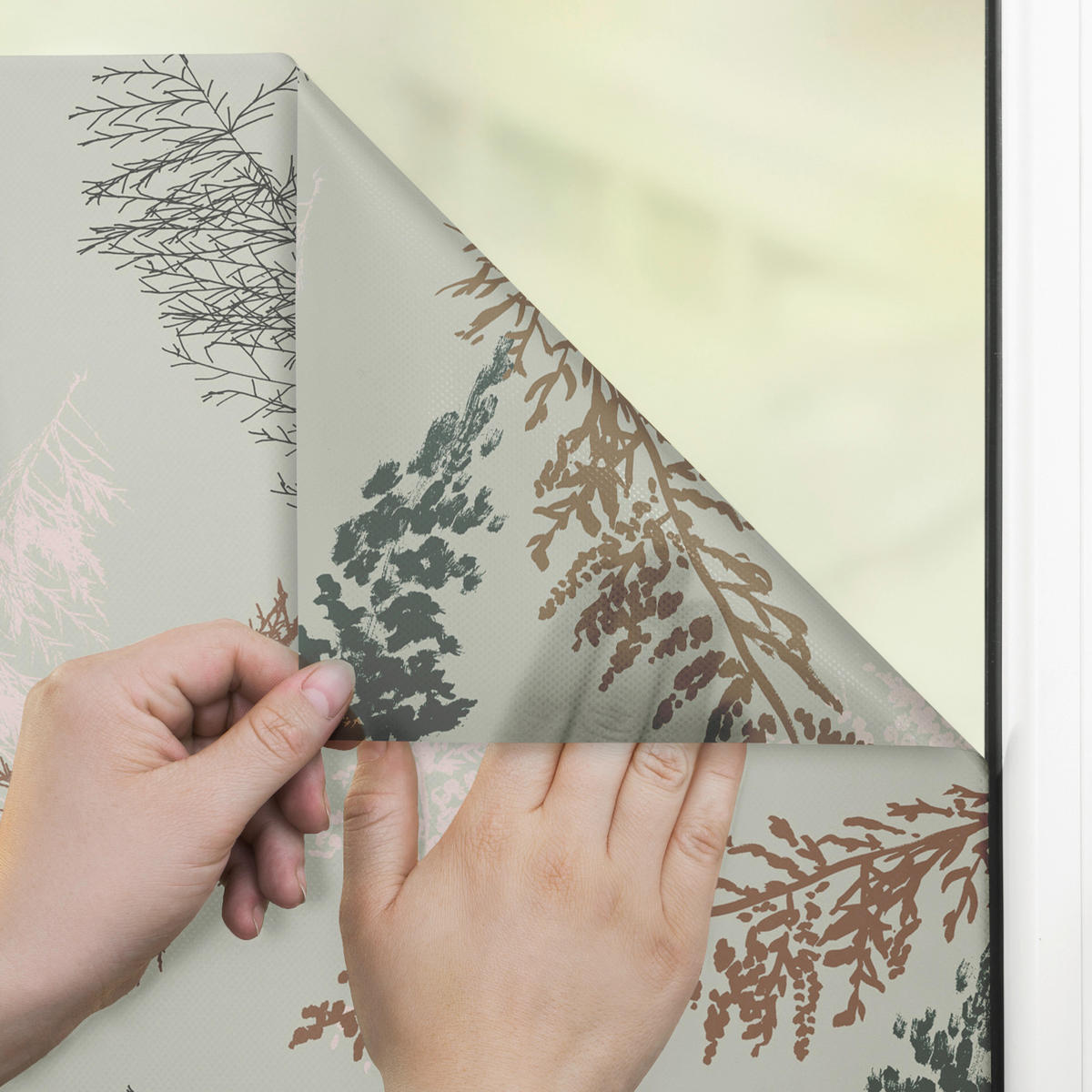 LICHTBLICK Fensterfolie Fir branches Natur Fir branches grün B/L: ca. 100x180 cm Fir branches - grün (100,00/180,00cm) - LICHTBLICK