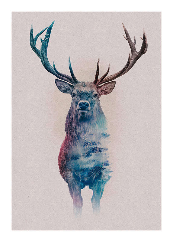 Komar Poster Animals Forest Deer Hirschkopf B/H: ca. 50x70 cm günstig online kaufen