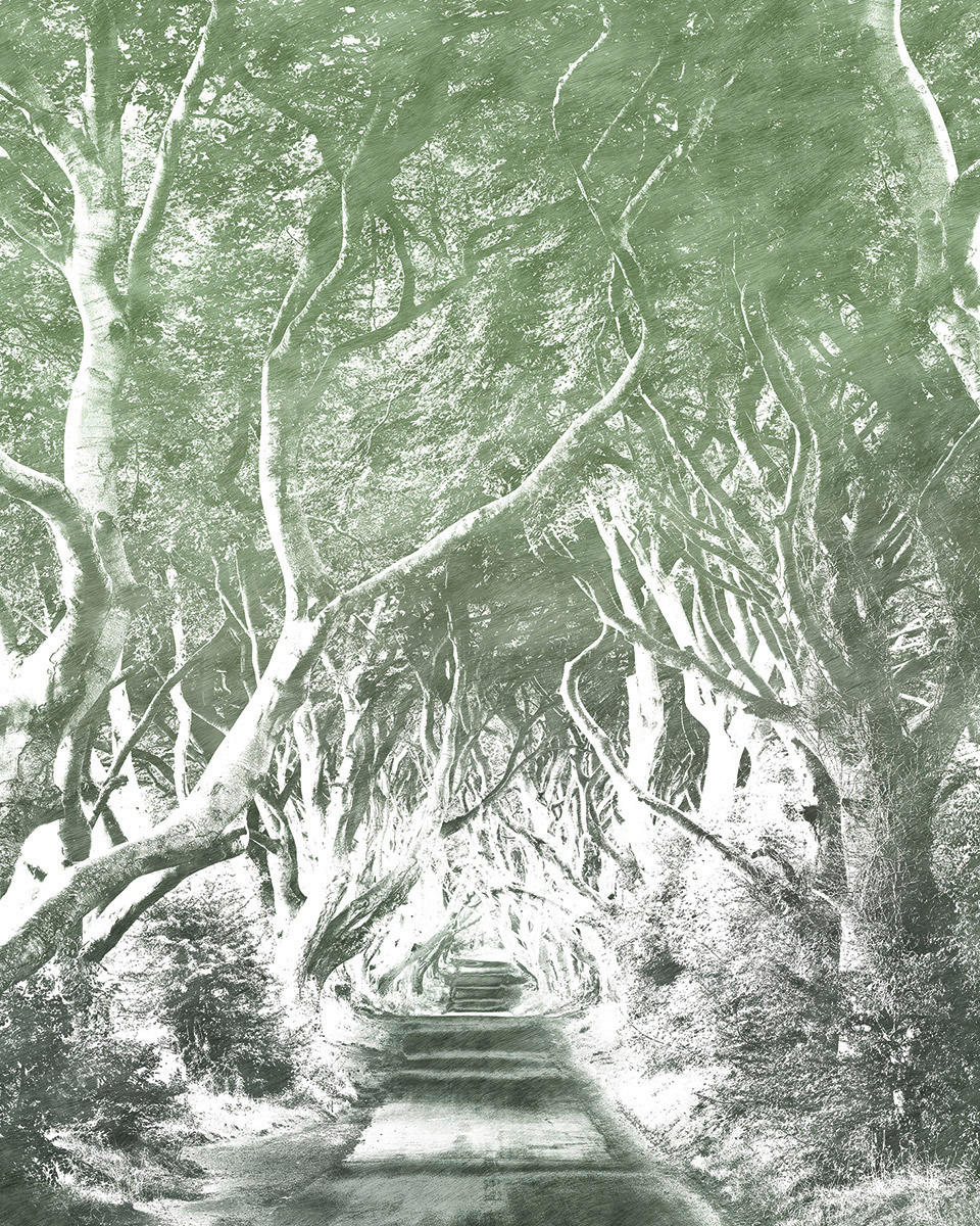 Komar Fototapete Alley Graphite B/L: ca. 200x250 cm Alley Graphite - (200,00/250,00cm) - Komar