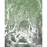 Komar Fototapete Alley Graphite B/L: ca. 200x250 cm Alley Graphite - (200,00/250,00cm) - Komar