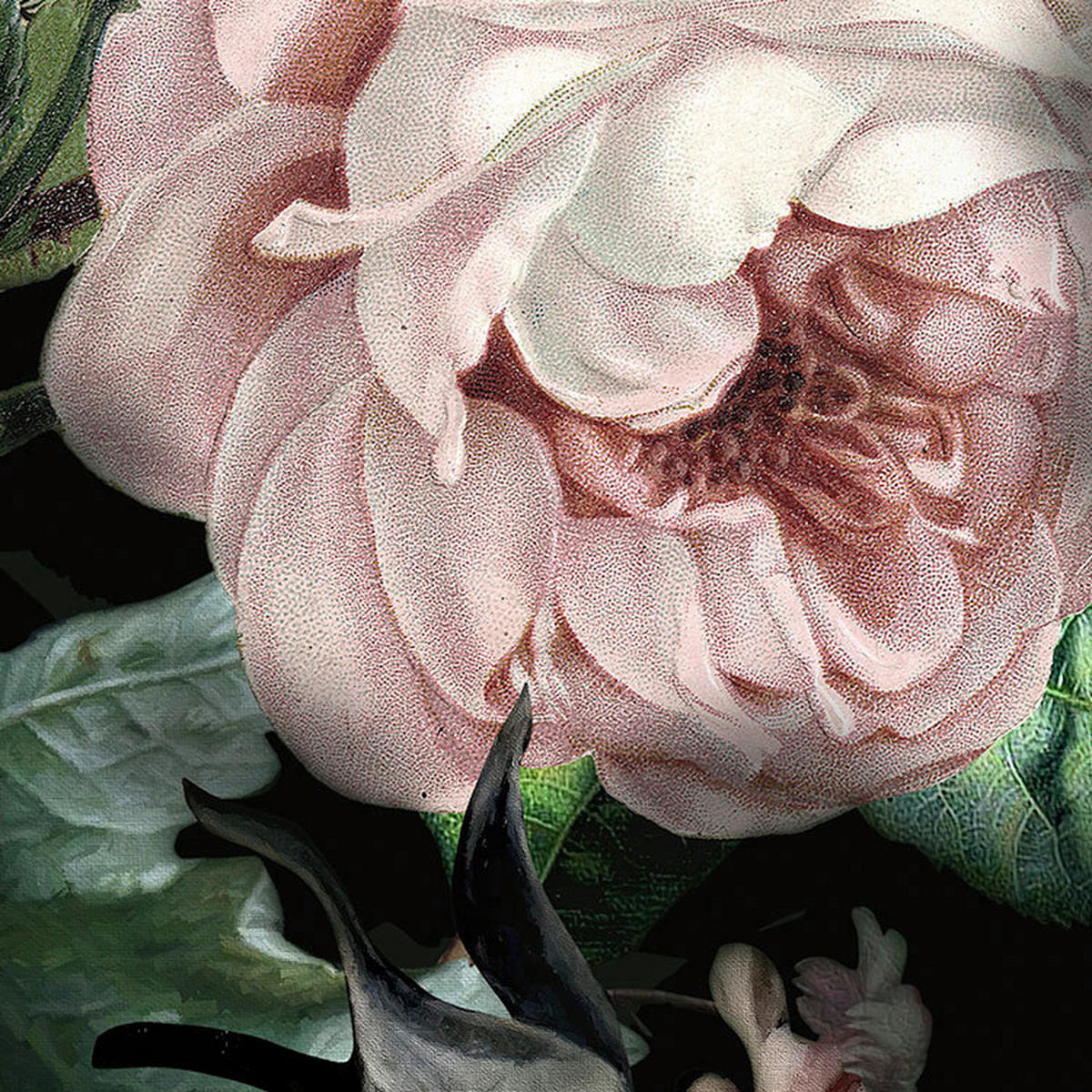 Komar Fototapete Flower Couture D: ca. 125 cm Flower Couture - (125,00cm) - Komar