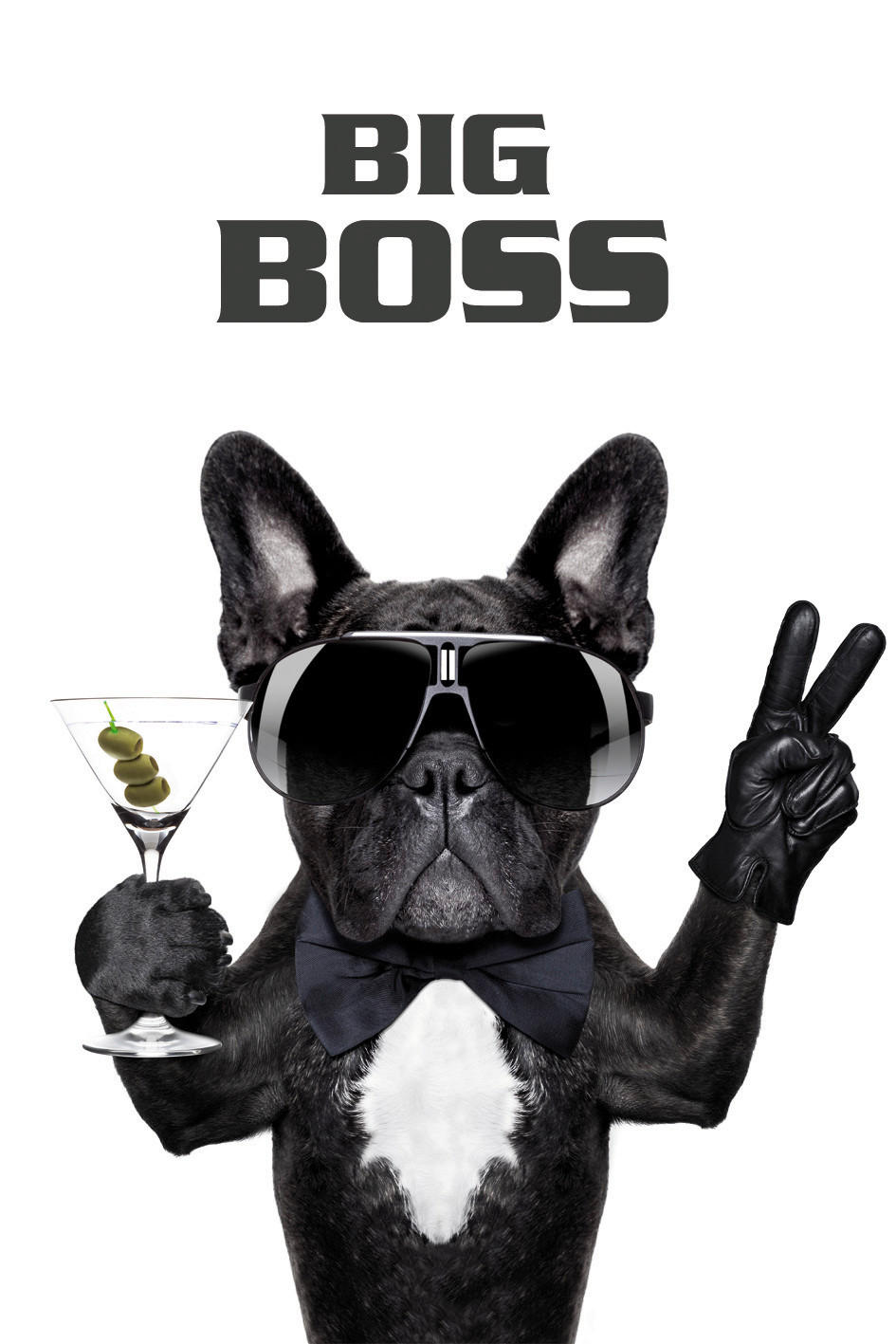 Bönninghoff Keilrahmenbild Big Boss Hund
