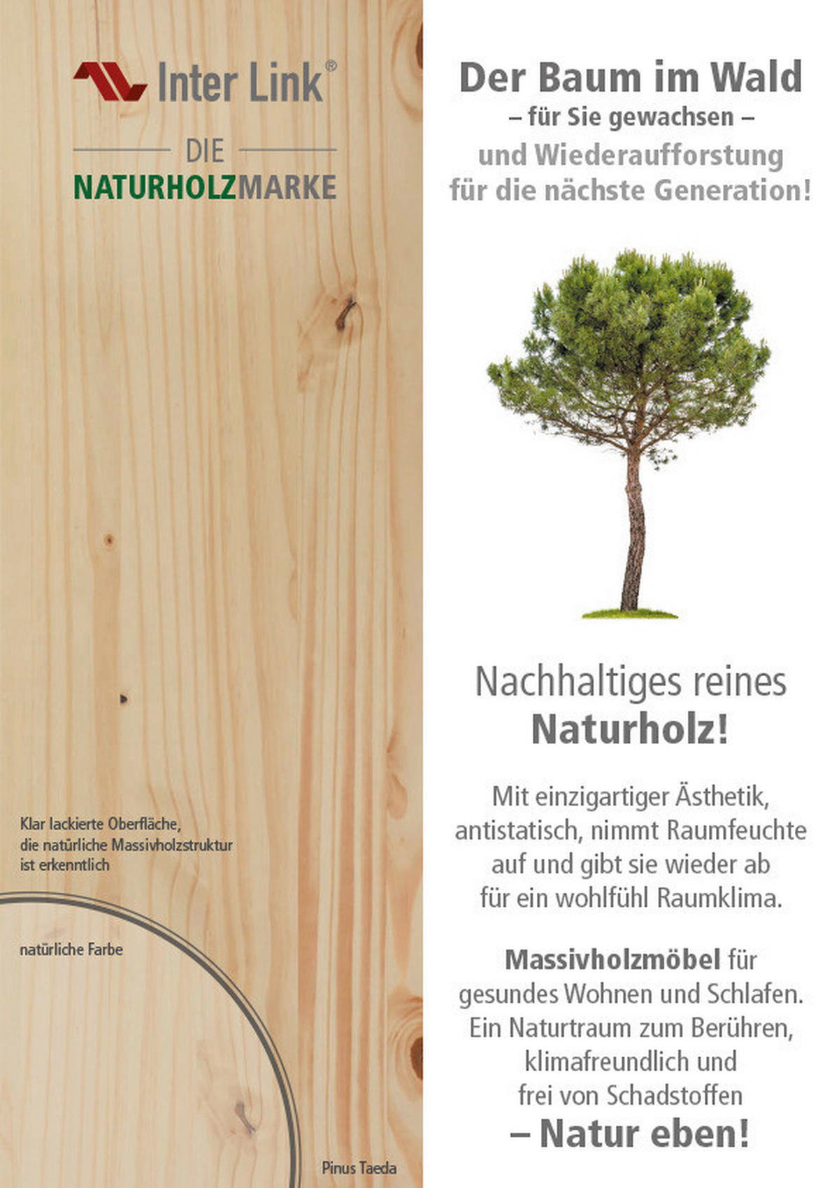 Funktionsbett Marinella natur Liegefläche B/L: ca. 90x200 cm Marinella - natur (205,00/63,00/98,00cm) - Inter Link