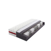 Tonnentaschenfederkernmatratze Titan weiß Liegefläche B/L: ca. 100x200 cm Titan - weiß/rot (100,00/200,00cm)