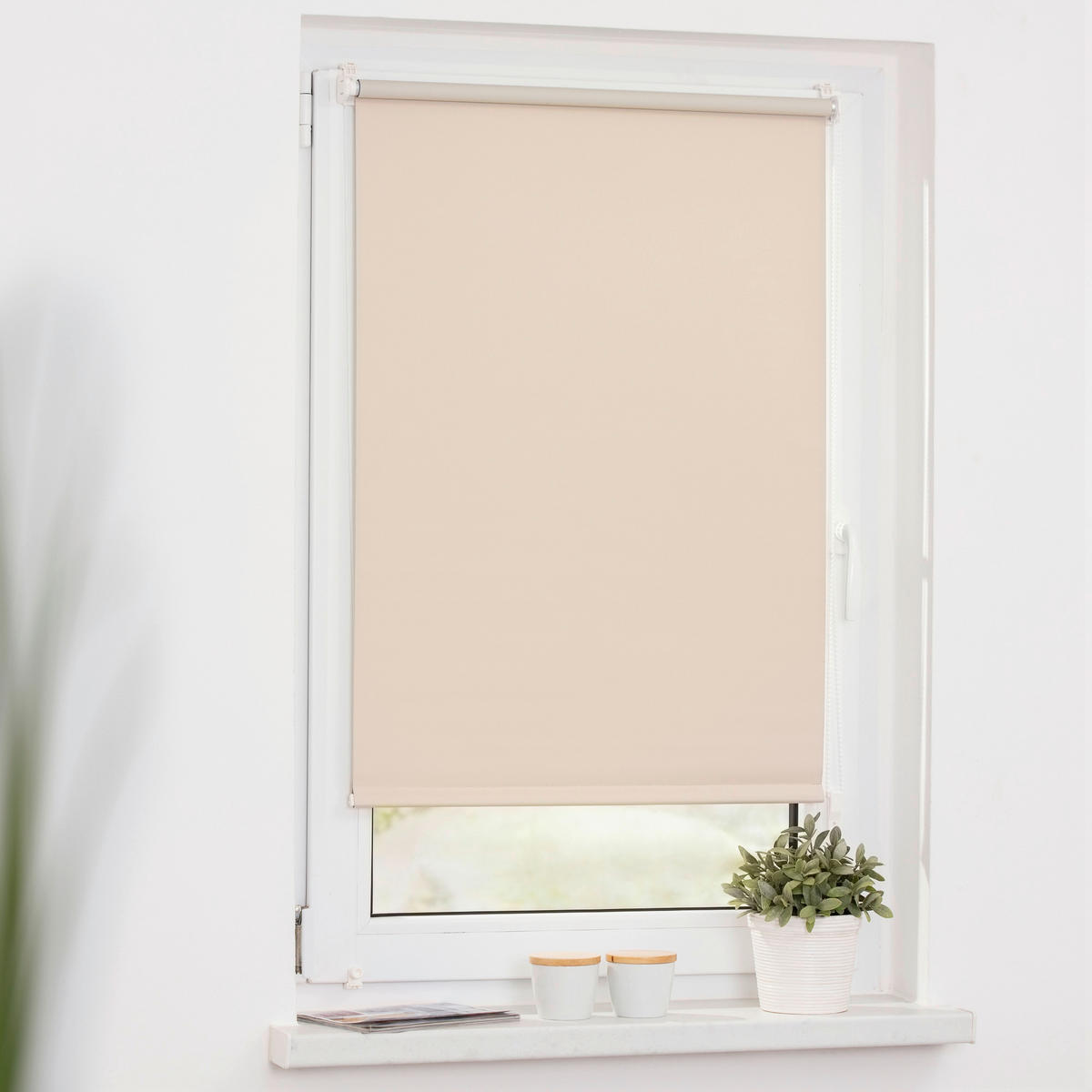 Verdunkelungsrollo creme B/L: ca. 45x150 cm Rollo_VD_Klemmfix_verspannt - creme (45,00/150,00cm) - LICHTBLICK