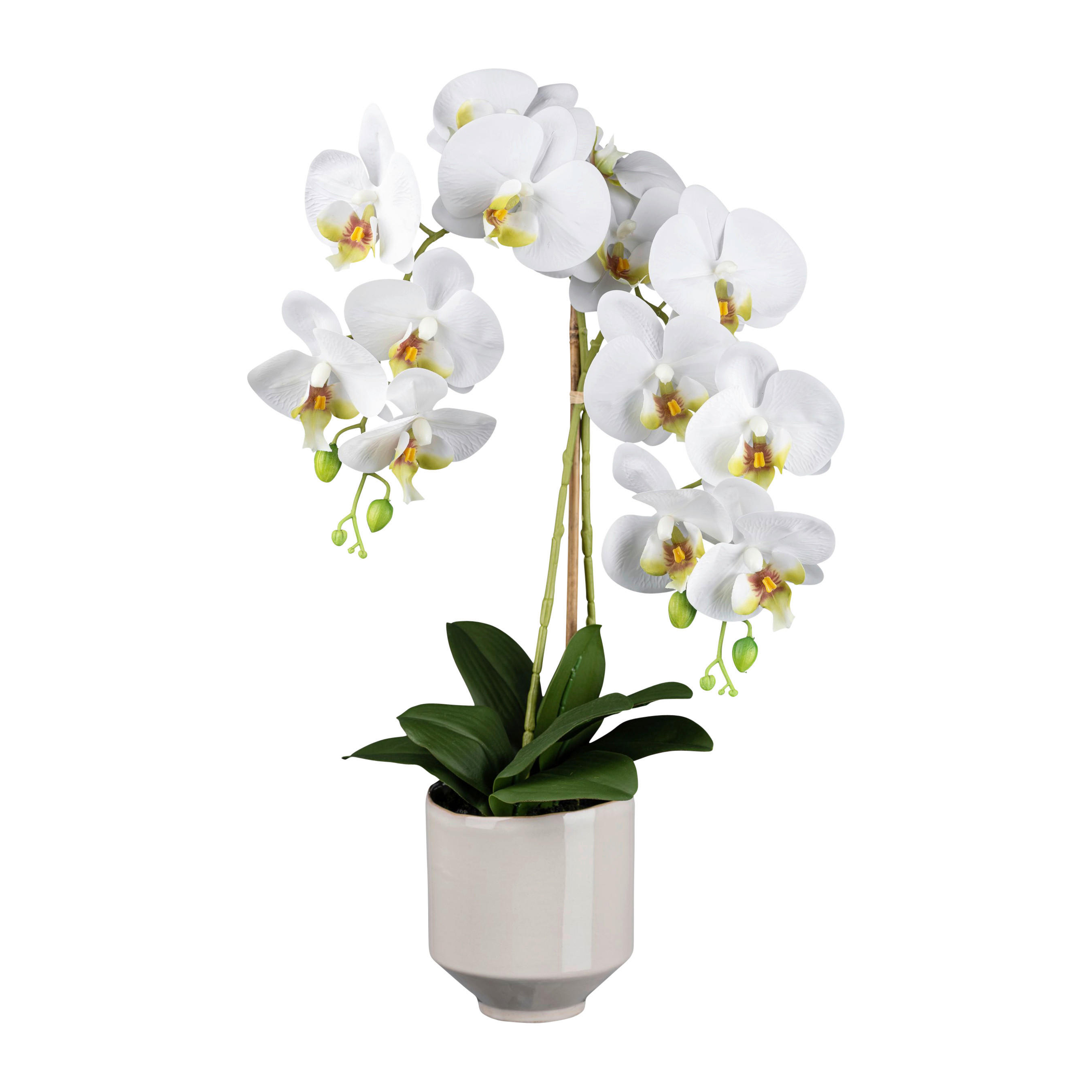 Kunstpflanze Phalaenopsis weiß Kunststoff B/H/L: ca. 19x59x19 cm günstig online kaufen