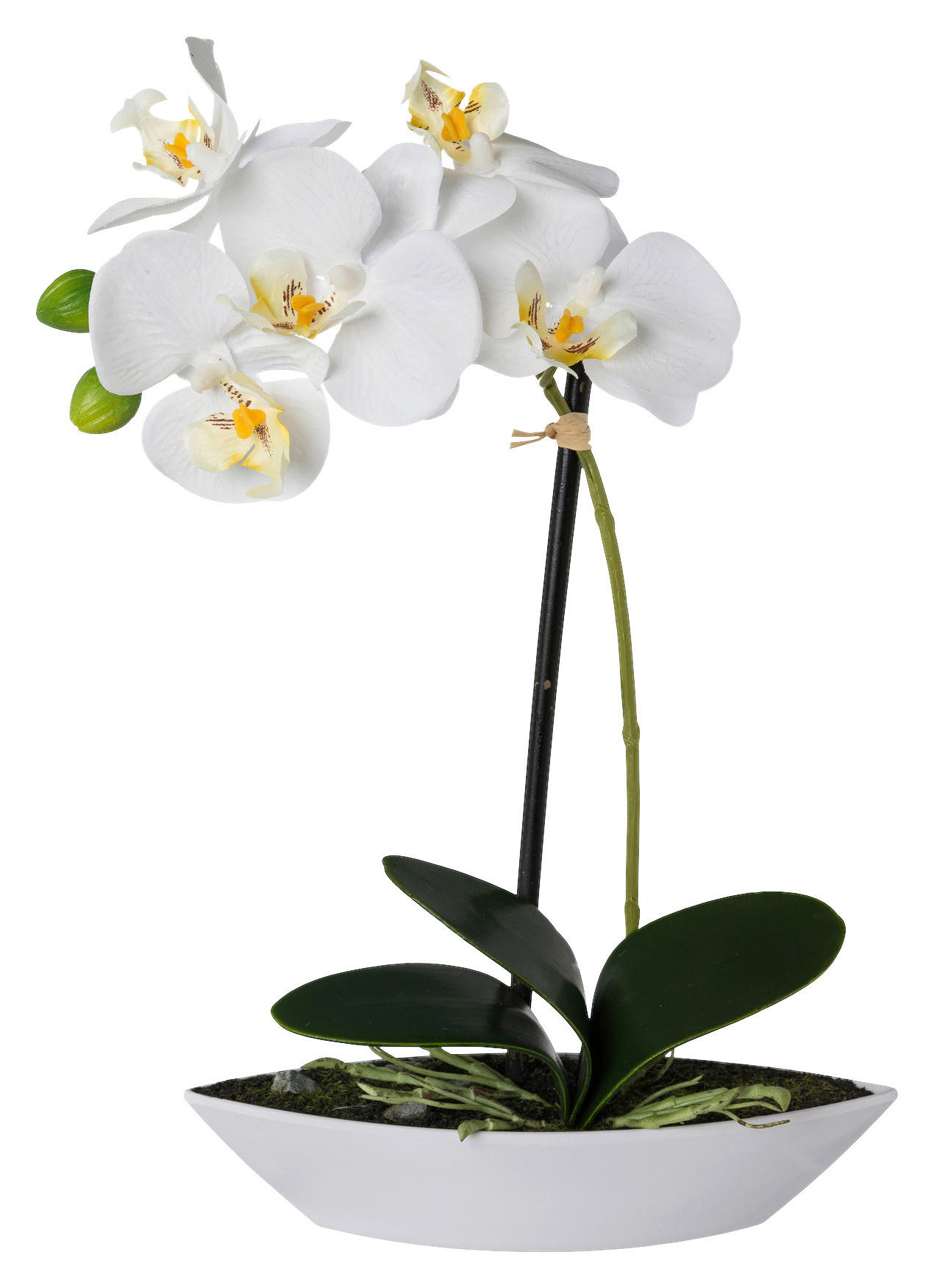Orchidee weiß Kunststoff H: ca. 30 cm Orchidee - weiß (30,00cm)