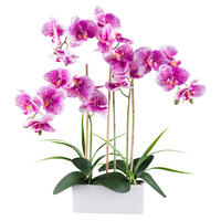 Kunstpflanze Phalaenopsis weiß Kunststoff B/H/L: ca. 27x50x27 cm Phalaenopsis - weiß (27,00/27,00/50,00cm)