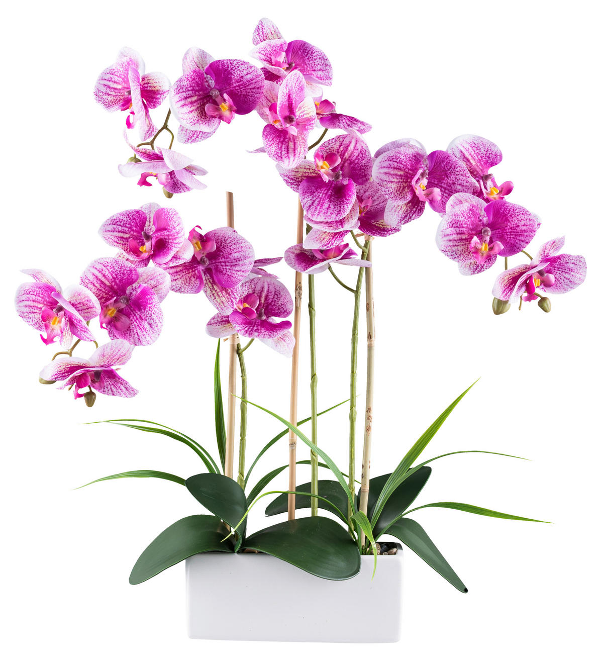 Kunstpflanze Phalaenopsis weiß Kunststoff B/H/L: ca. 27x50x27 cm Phalaenopsis - weiß (27,00/27,00/50,00cm)