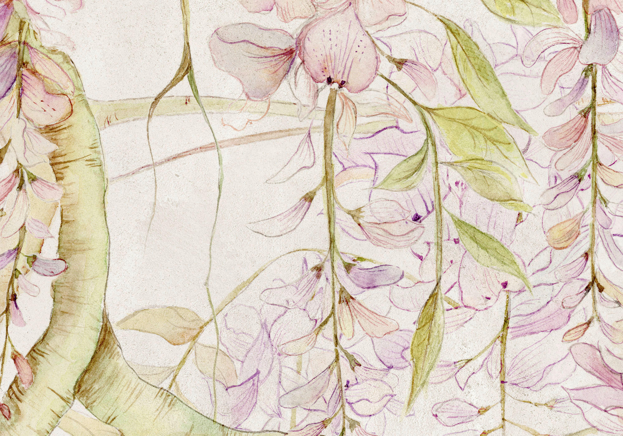 Komar Fototapete Wisteria B/L: ca. 400x280 cm Wisteria - (400,00/280,00cm) - Komar