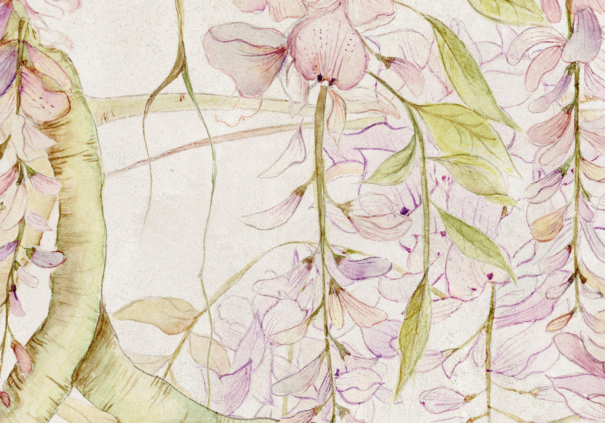 Komar Fototapete Wisteria B/L: ca. 400x280 cm Wisteria - (400,00/280,00cm) - Komar