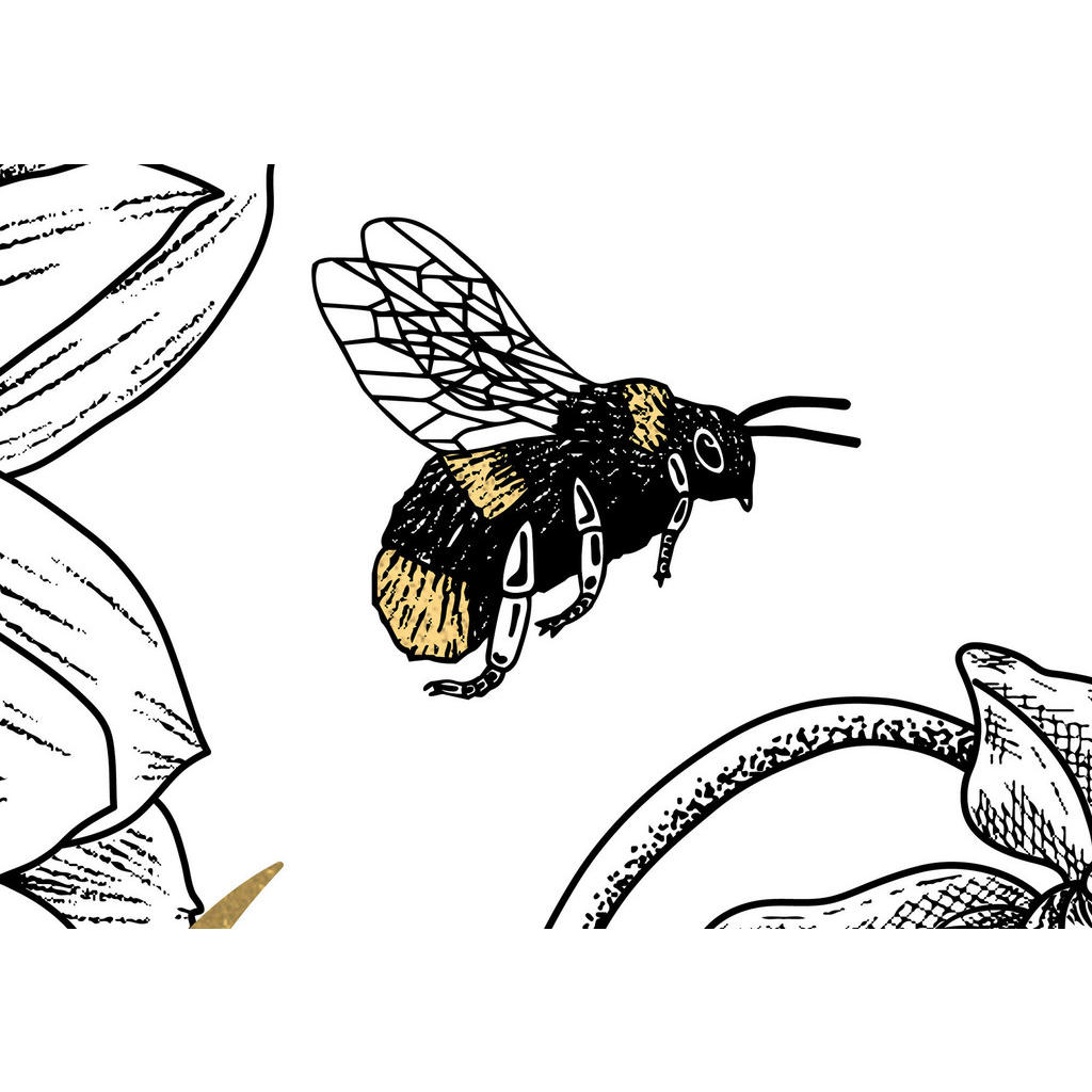Thumbnail - Komar Fototapete Bumble Bee B/L: ca. 400x280 cm