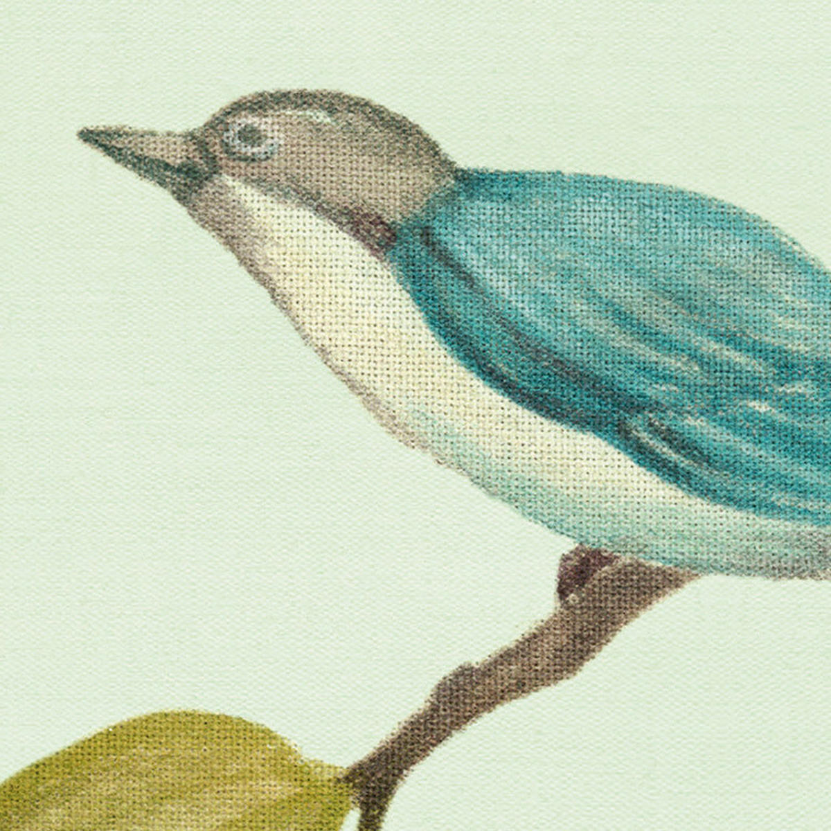 Komar Fototapete Oiseaux du Paradis B/L: ca. 350x250 cm Oiseaux du Paradis - (350,00/250,00cm) - Komar