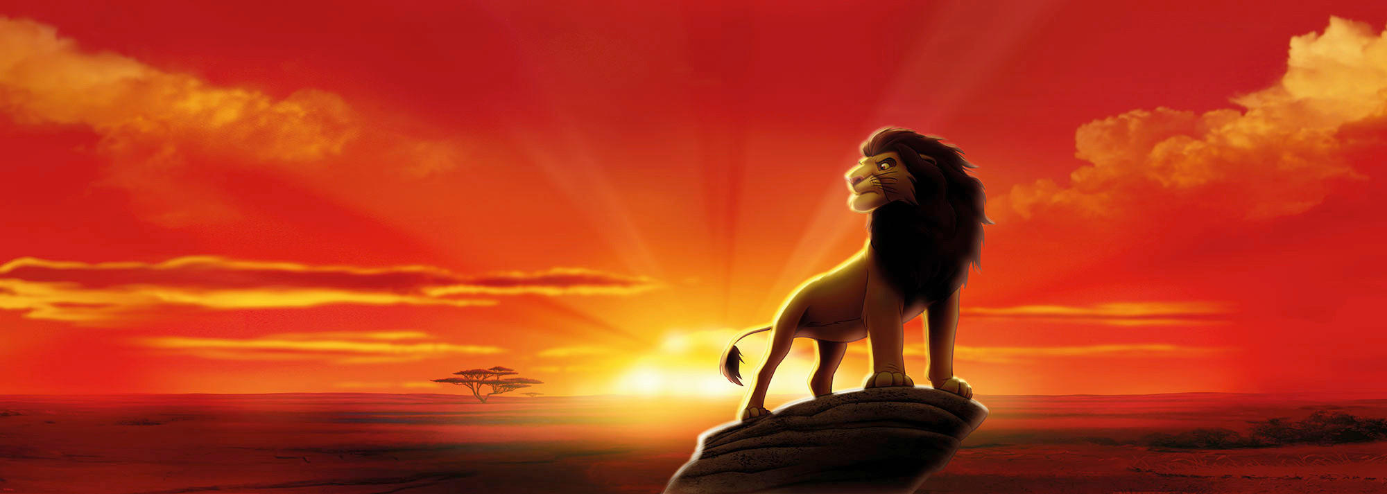 Komar Fototapete The Lion King B/L: ca. 202x73 cm günstig online kaufen