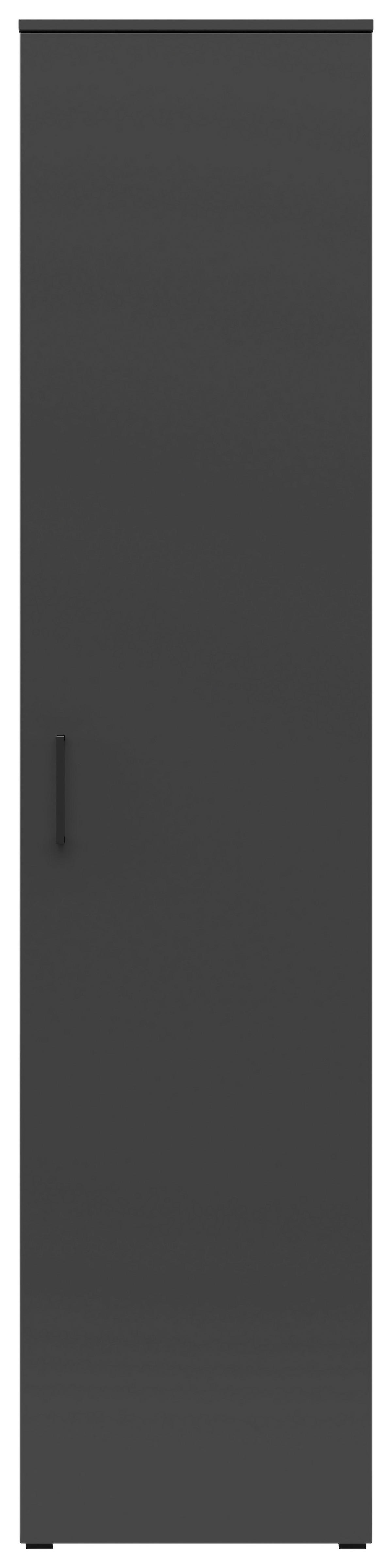 Schrank Multi-Stauraum Typ 20 anthrazit B/H/T: ca. 45x195x40 cm Multi-Stauraum Typ 20 - anthrazit (45,00/195,00/40,00cm)
