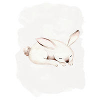 Komar Poster Sleepy Bunny Waldtiere B/L: ca. 40x50 cm Sleepy Bunny - (40,00/50,00cm) - Komar