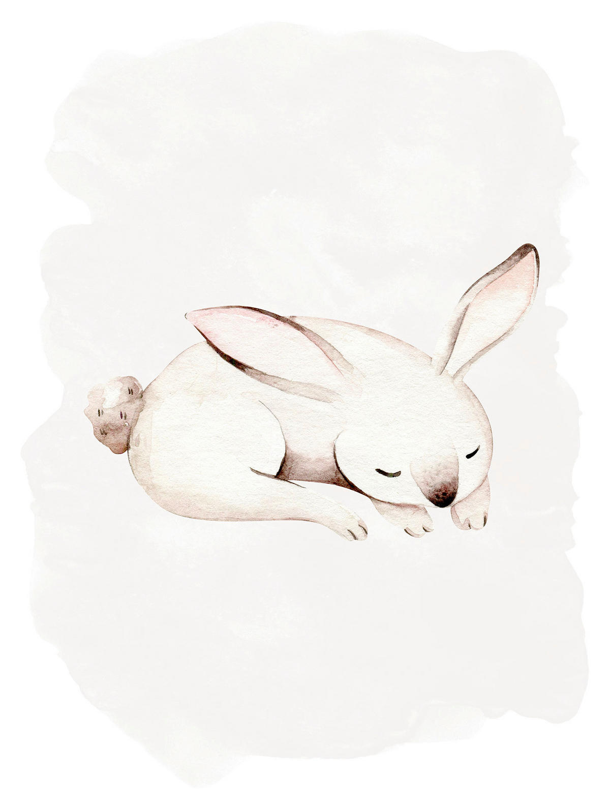 Komar Poster Sleepy Bunny Waldtiere B/L: ca. 40x50 cm Sleepy Bunny - (40,00/50,00cm) - Komar