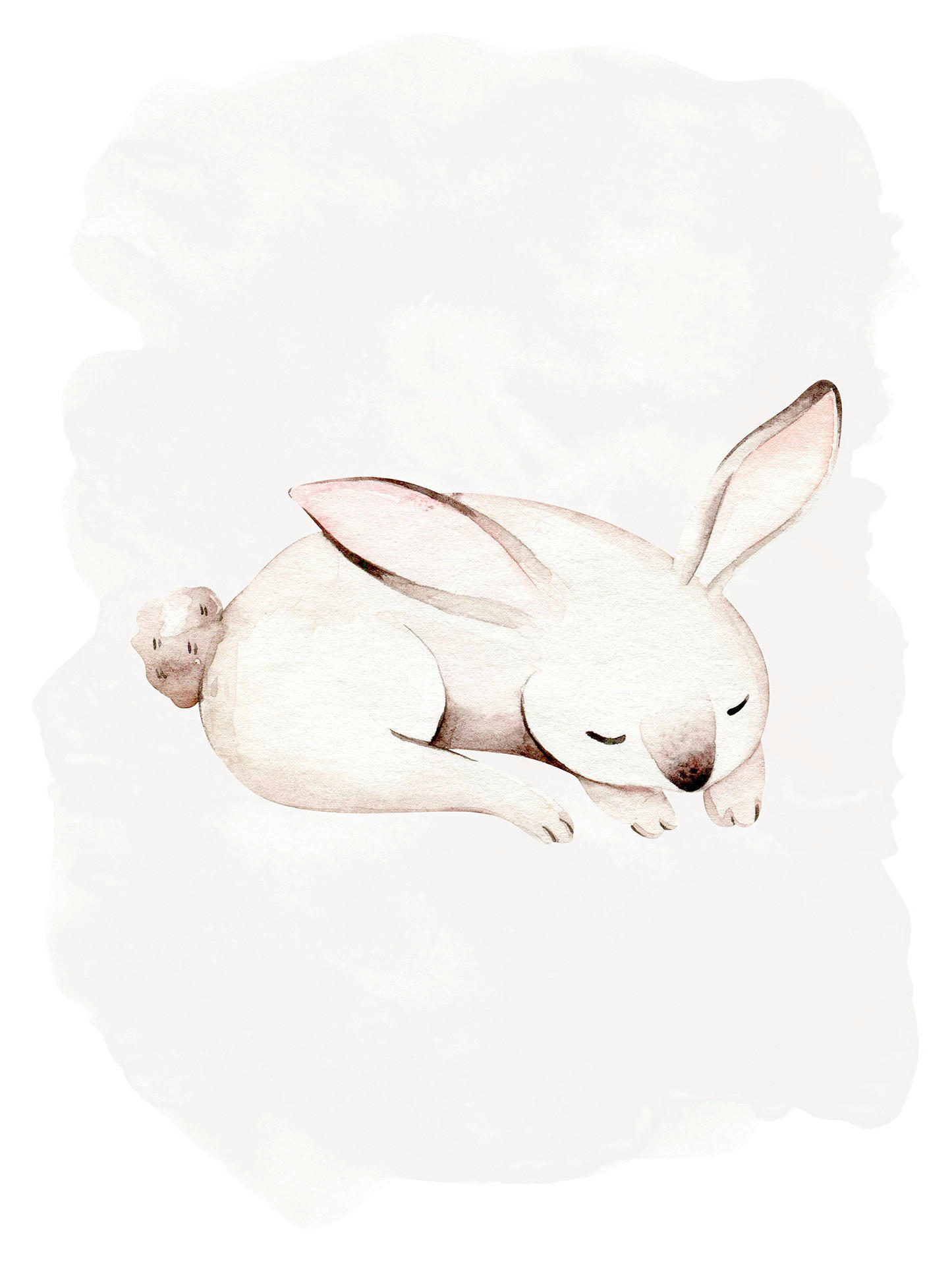 Komar Poster Sleepy Bunny Waldtiere B/L: ca. 40x50 cm günstig online kaufen