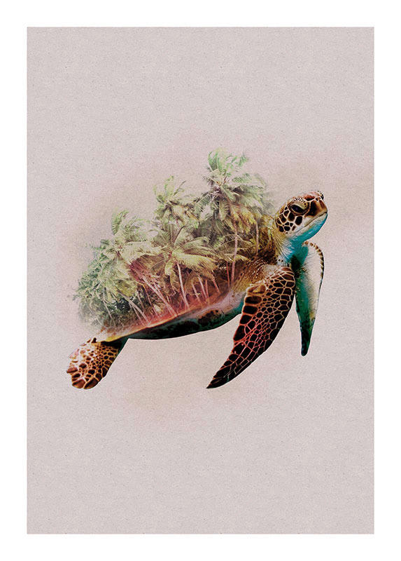 Komar Poster Animals Paradise Turtle Tiere B/L: ca. 50x70 cm Animals Paradise Turtle - (50,00/70,00cm) - Komar