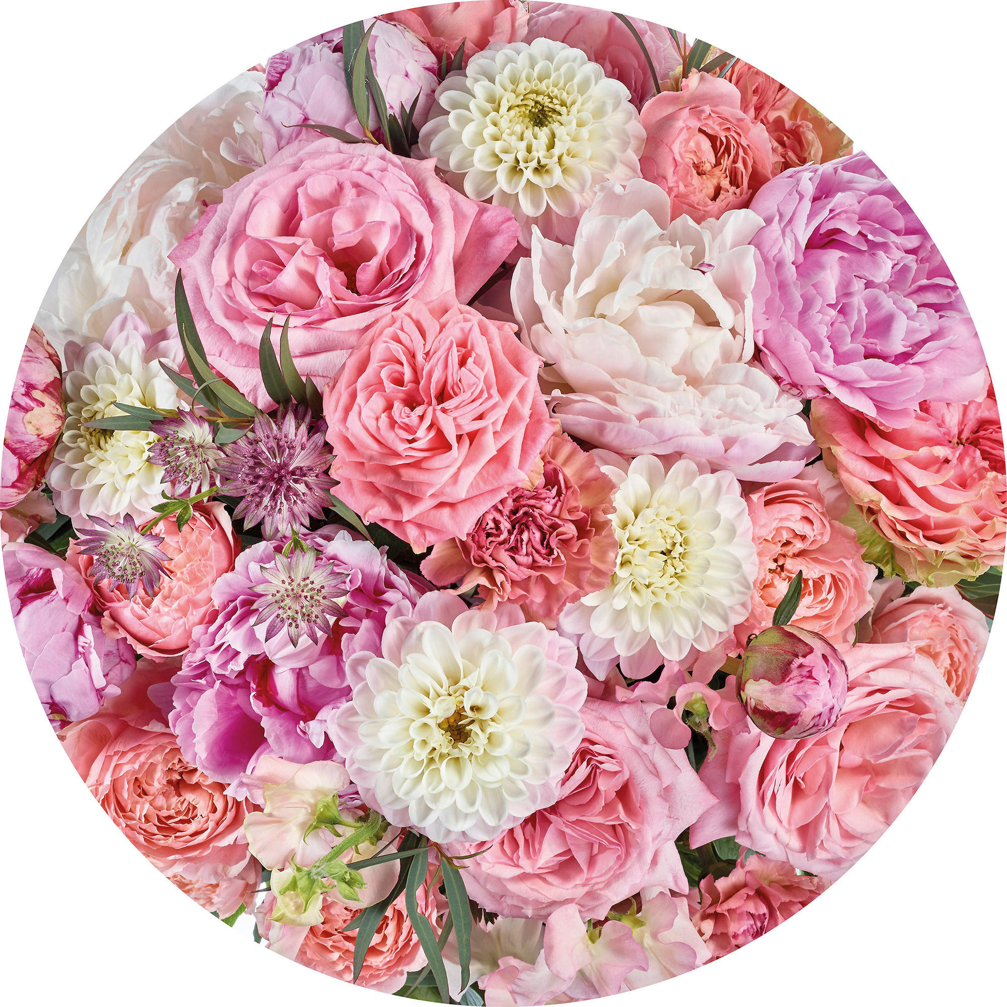 Komar Fototapete Beautiful Blossoms D: ca. 125 cm Beautiful Blossoms - (125,00cm) - Komar