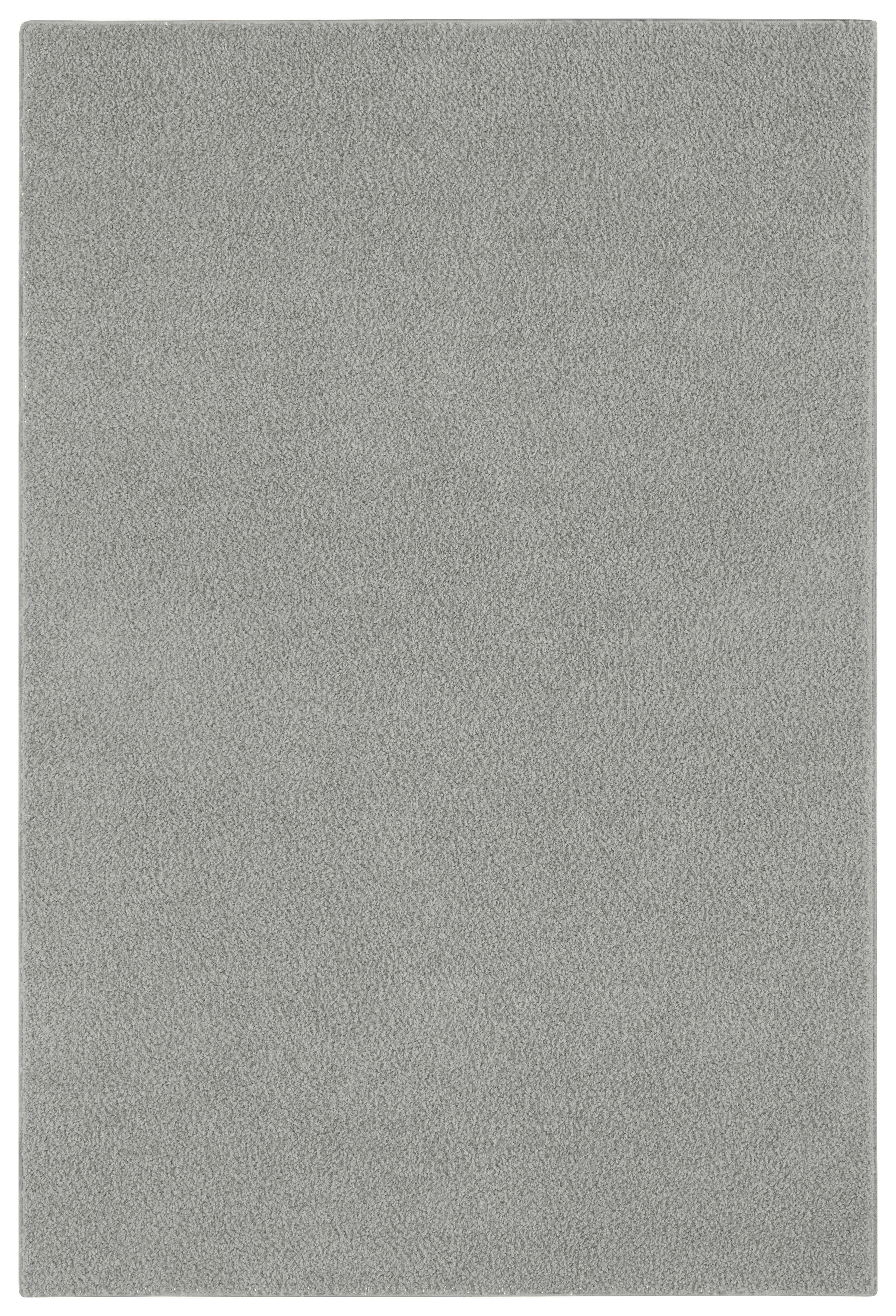 Langflorteppich Softissimo hellgrau B/L: ca. 57x120 cm Softissimo - hellgrau (57,00/120,00cm)