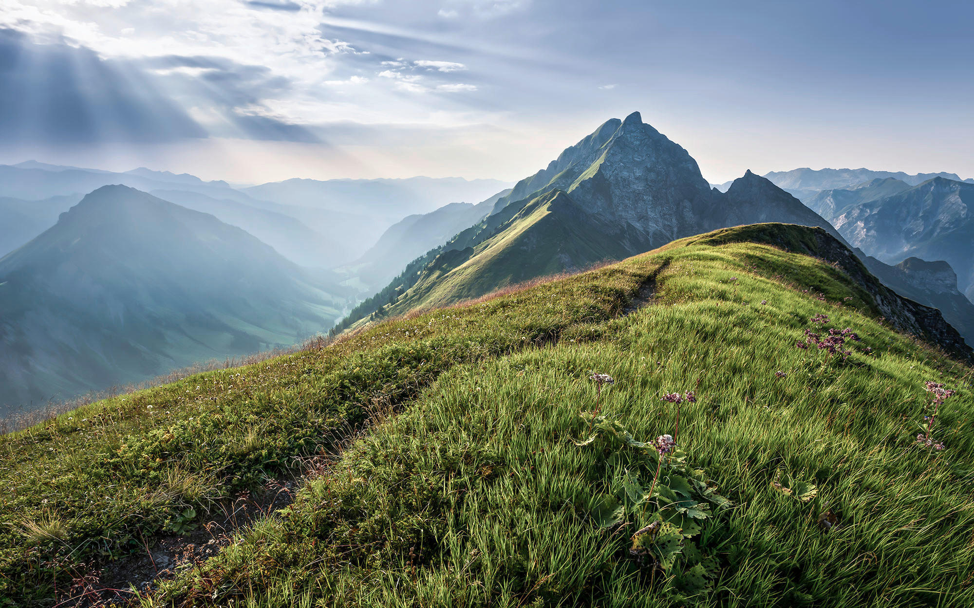 Sanders & Sanders Fototapete Landschaft Grün und Grau 400 x 250 cm 612388 günstig online kaufen