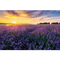 Keilrahmenbild Sonnenuntergang B/H: ca. 118x78 cm Keilrahmenbild 78x118cm - (118,00/78,00cm)