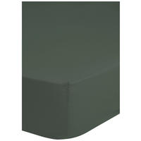 Baumwoll Spannbetttuch Satin Spannbetttuch-Satin 180x200cm - grün (180,00/200,00cm) - HIP