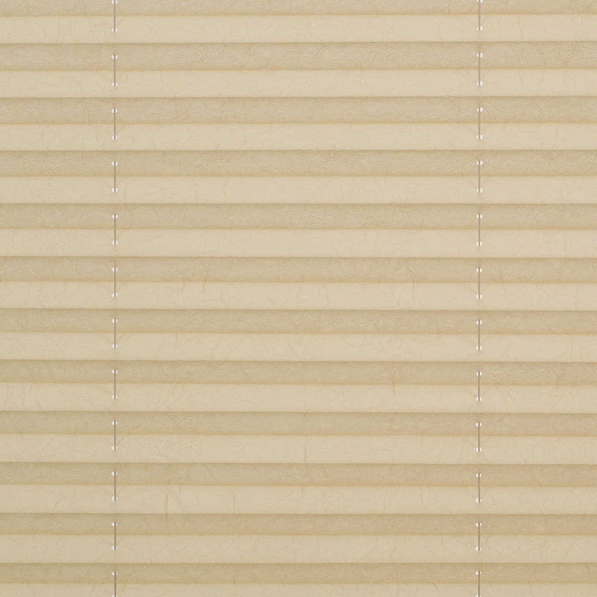 Spannplissee creme B/L: ca. 95x130 cm Plissee_Klemmfix - creme (95,00/130,00cm) - LICHTBLICK