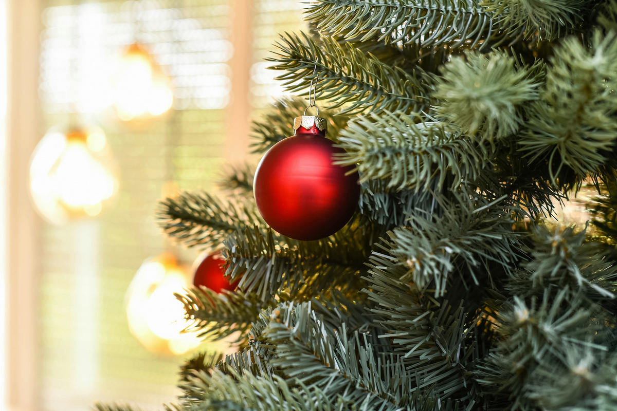 Evergreen Weihnachtsbaum Vermont Fichte Vermont Fichte - grün (150,00/150,00/210,00cm) - Evergreen