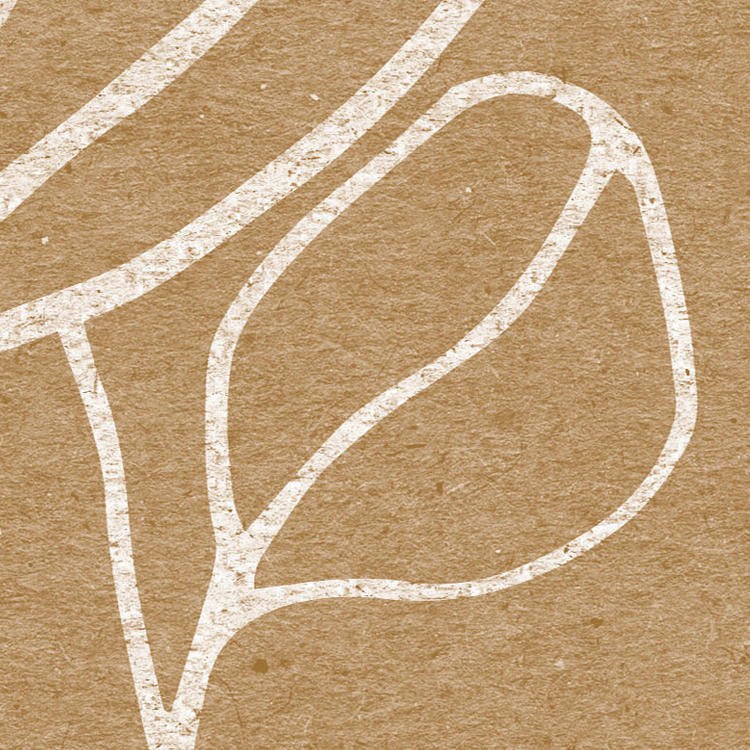 Komar Fototapete Herbs Garden B/L: ca. 200x250 cm Herbs Garden - (200,00/250,00cm) - Komar