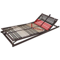Lattenrost Tectronic KF anthrazit Liegefläche B/L: ca. 90x200 cm Tectronic KF - rot/anthrazit (90,00/4,00/200,00cm)