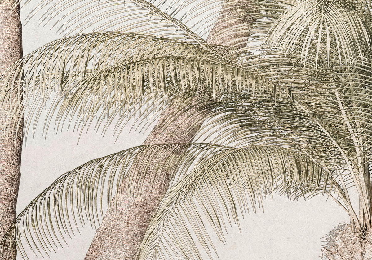 Komar Fototapete Palm Oasis B/L: ca. 200x280 cm Palm Oasis - (200,00/280,00cm) - Komar