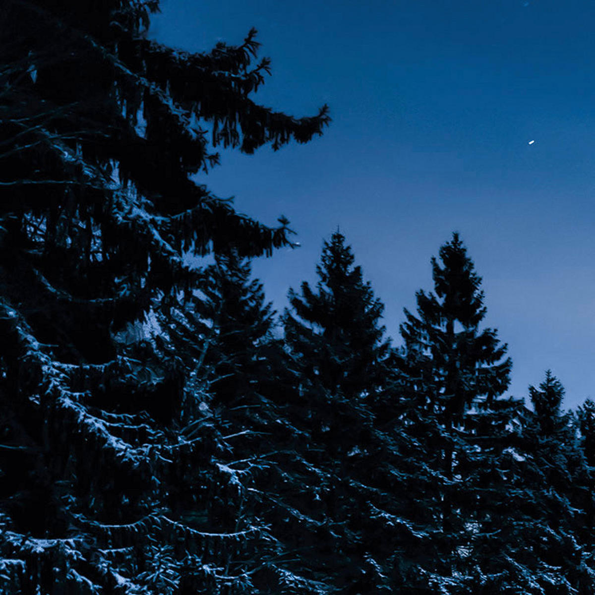 Komar Fototapete Glistening Stars B/L: ca. 200x100 cm Glistening Stars - (200,00/100,00cm) - Komar