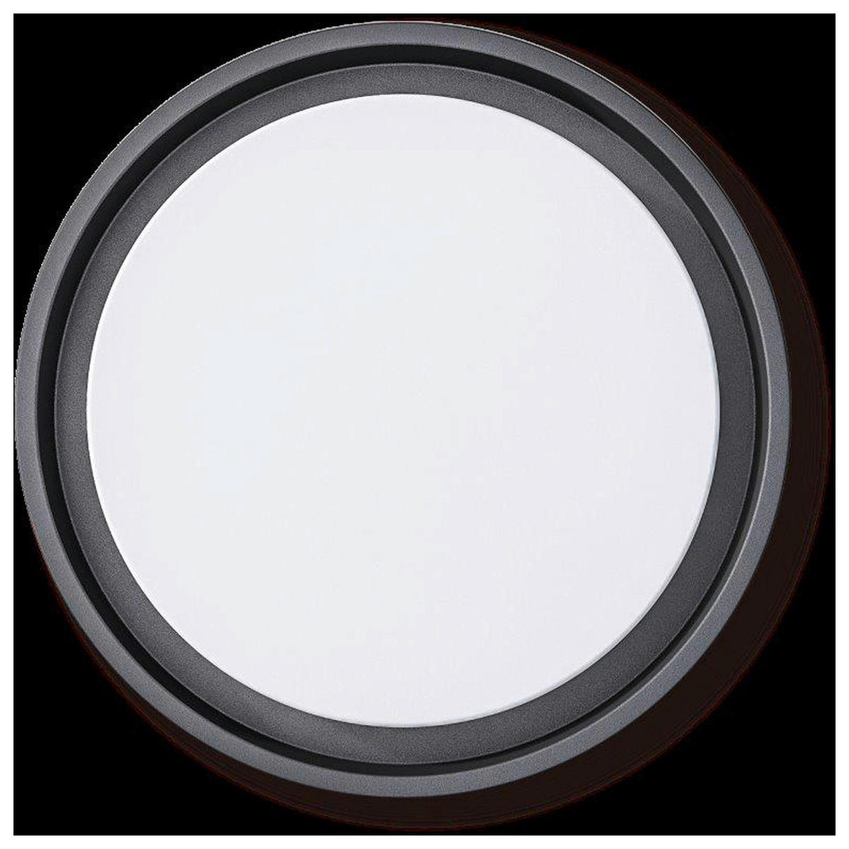 Näve Leuchten LED-Deckenleuchte anthrazit Metall Kunststoff B/H/T/D: ca. 27x5,3x27x27 cm MIO - anthrazit (27,00/5,30/27,00cm) - Näve Leuchten