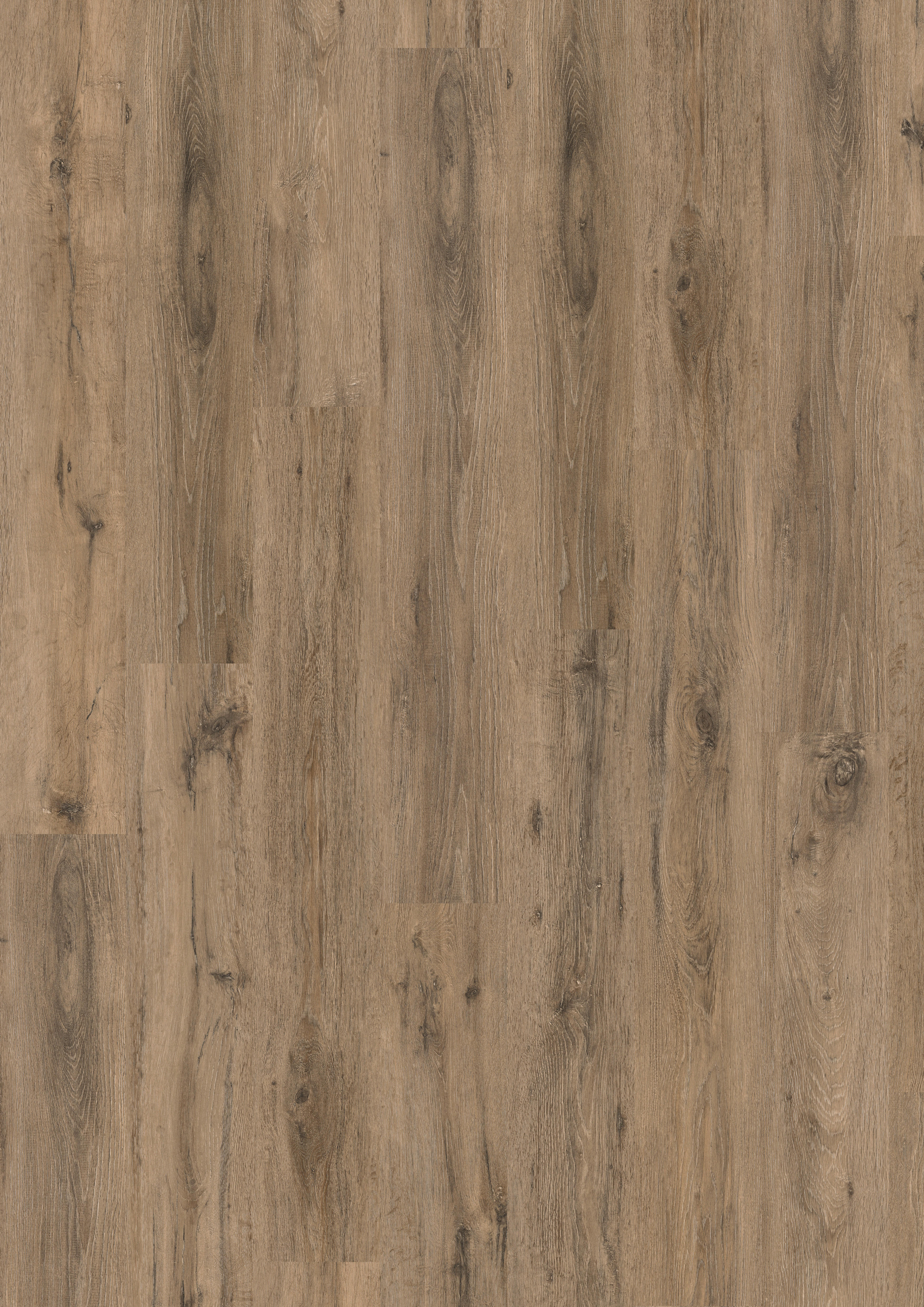 EGGER Laminatboden Eiche massiv ca. 2,4936 m² im Paket  B/L: ca. 19,3x129,2 cm pro Paket Eiche massiv ca. 2,4936 m² im Paket - (19,30/129,20cm) - EGGER